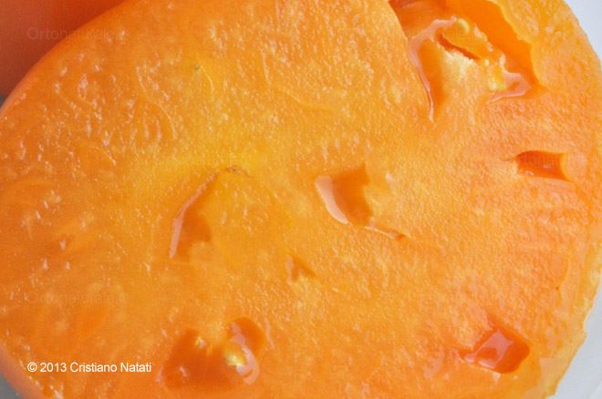 Pomodoro Fragola arancione